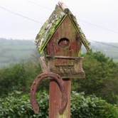 bird table